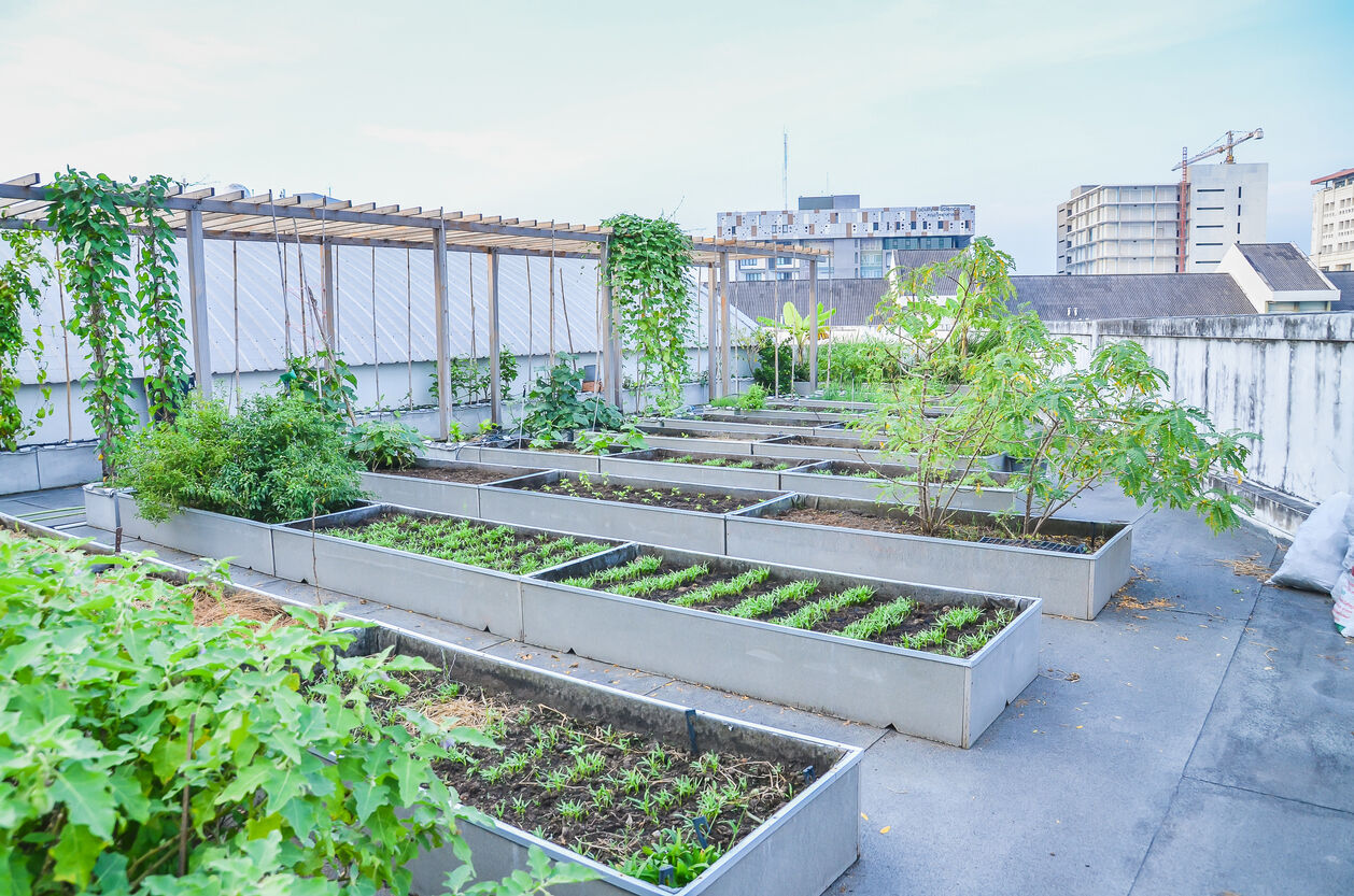 agriculture roof2